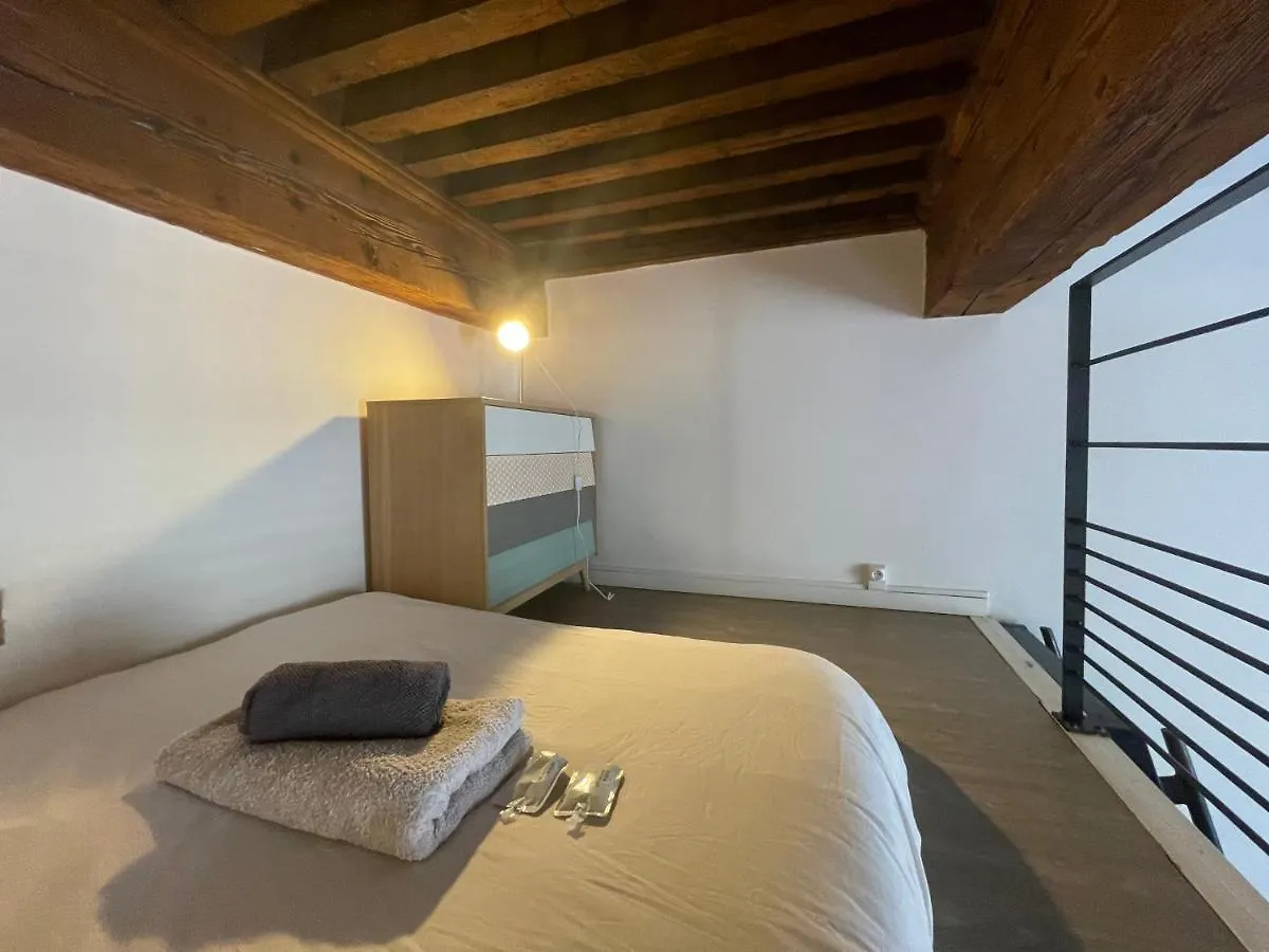 Appartement Cosy Au Coeur Du Vieux Lyon