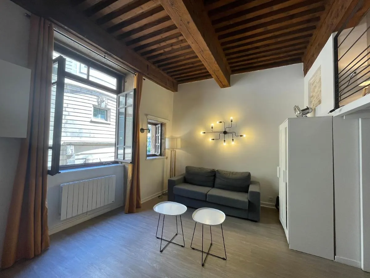Apartment Appartement Cosy Au Coeur Du Vieux Lyon France