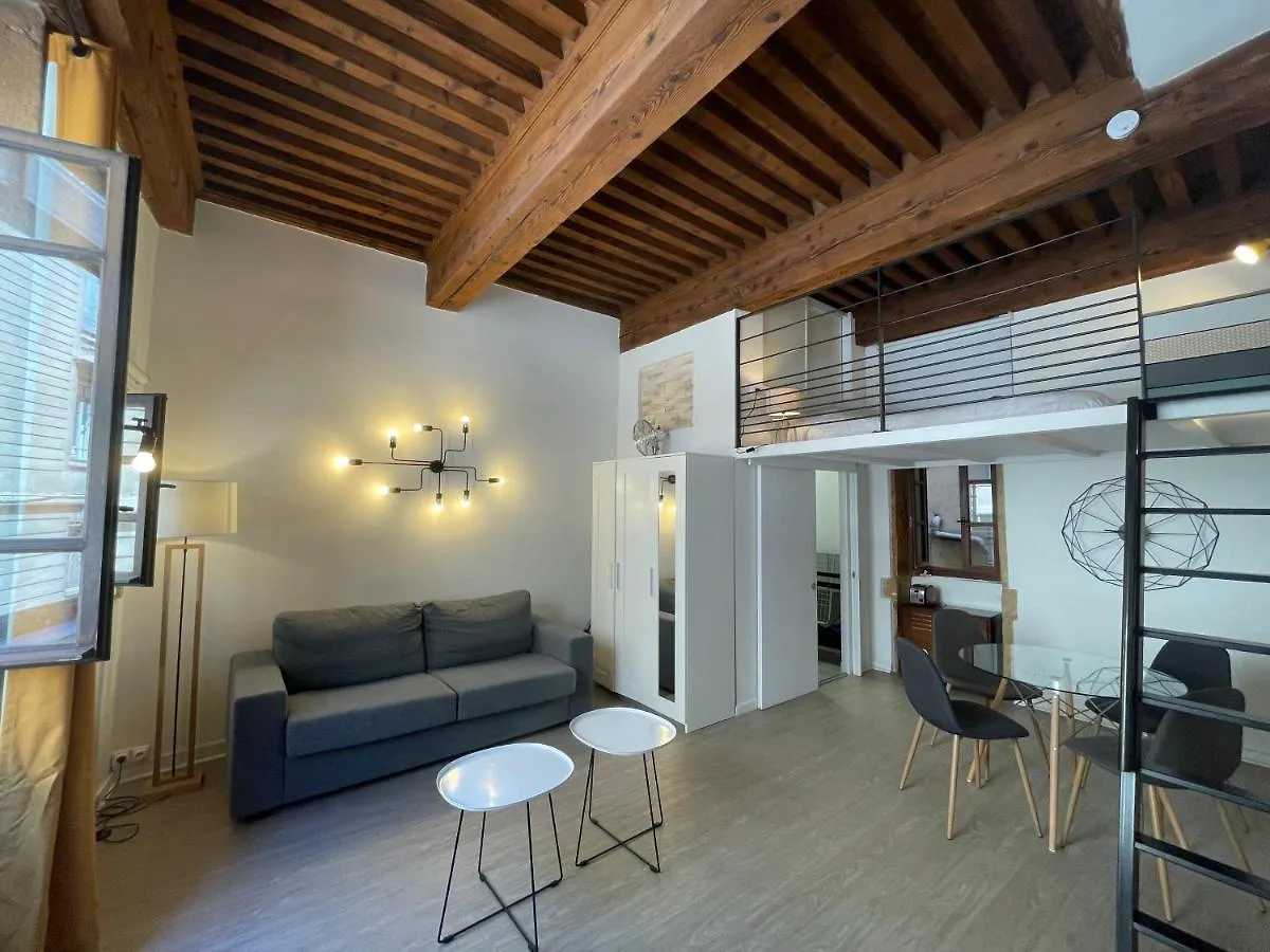 Appartement Cosy Au Coeur Du Vieux Lyon Apartment